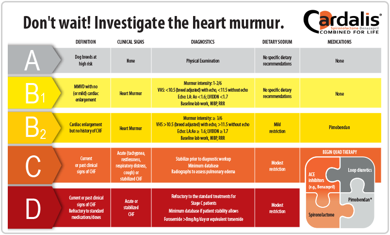 cardiology-clinic-tools-ceva-connect