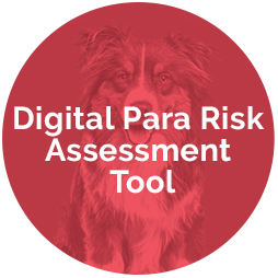 Digital Para Risk Assessment Tool